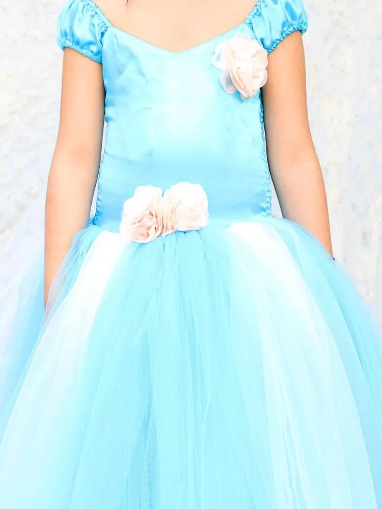 Frozen Princess Tutu Dress