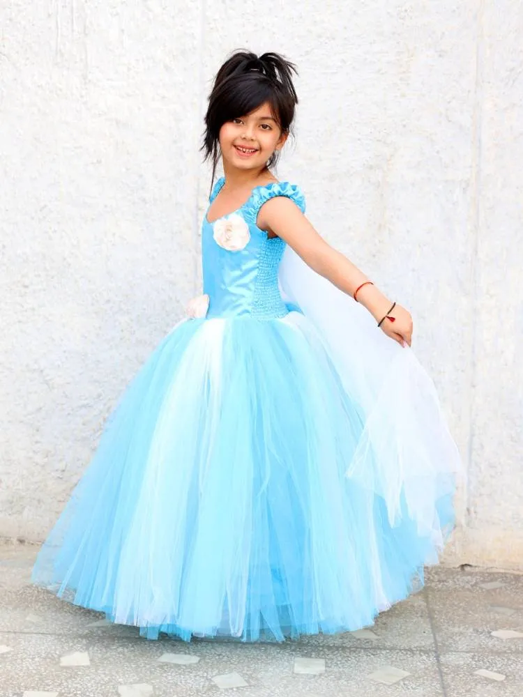 Frozen Princess Tutu Dress